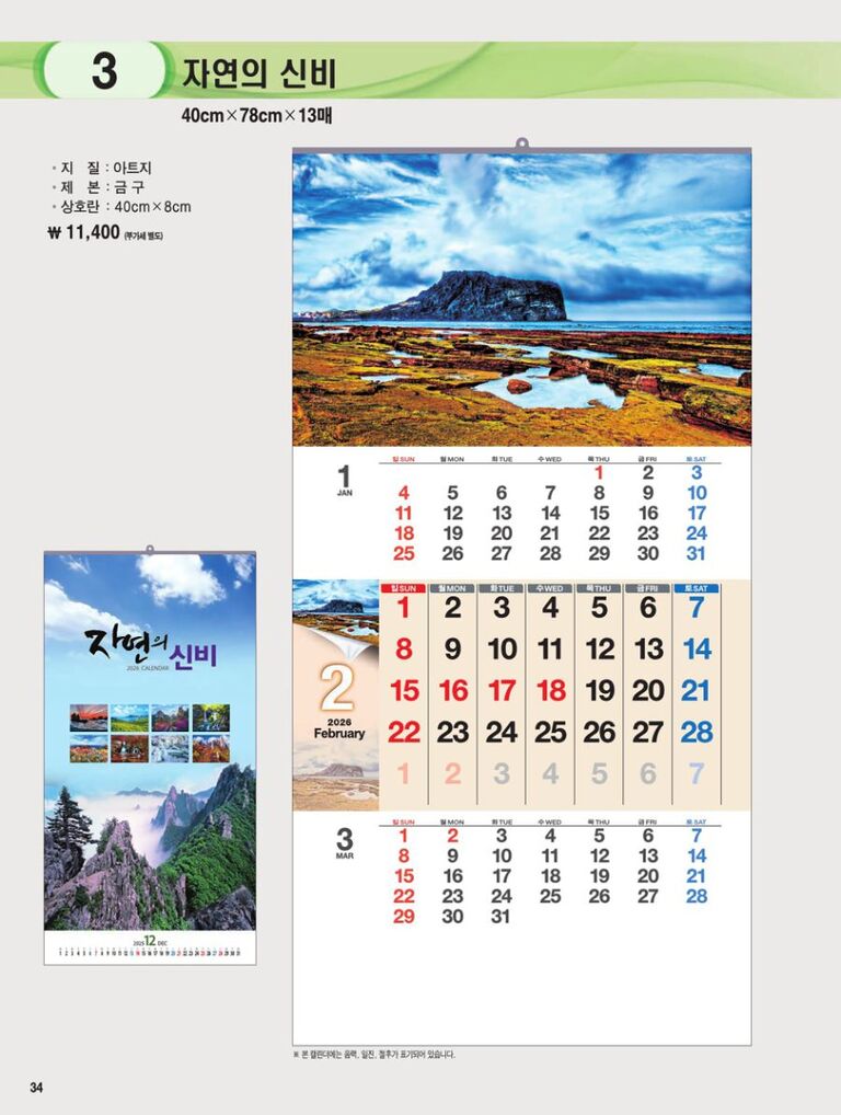  3 자연의 신비